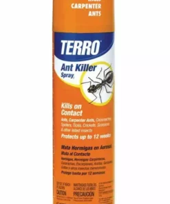 Brand new ⌛ TERRO Ant Killer Aerosol, 16oz - T401-6 - Insecticides 😉