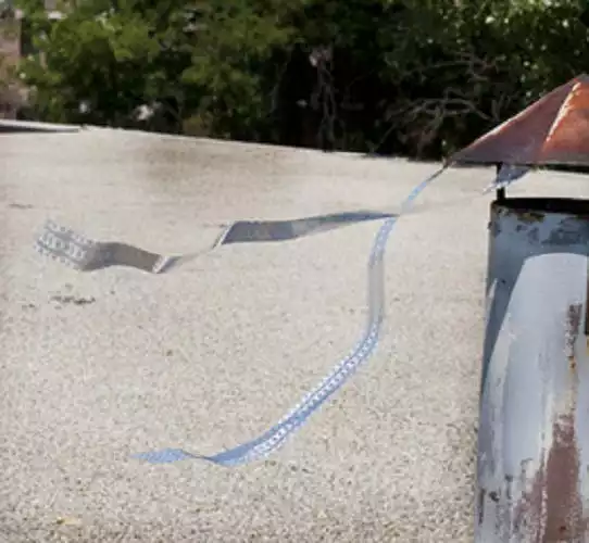 Best deal 🛒 Bird-X Irri-Tape Bird Scare Iridescent Holographic Tape, 500 Foot - Animal Repellants 🔔 - Image 4