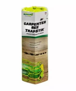 Budget 🤩 Rescue TrapStik for Carpenter Bees - CBTS-BB6 - Bug & Pest Control 😉