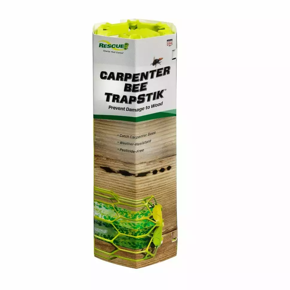 Budget π€© Rescue TrapStik for Carpenter Bees - CBTS-BB6 - Bug & Pest Control π