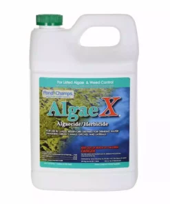 Buy 💯 Sanco Pond Champs AlgaeX Algaecide/Herbicide, 1 Gallon - 11700 - Algaecides ⌛