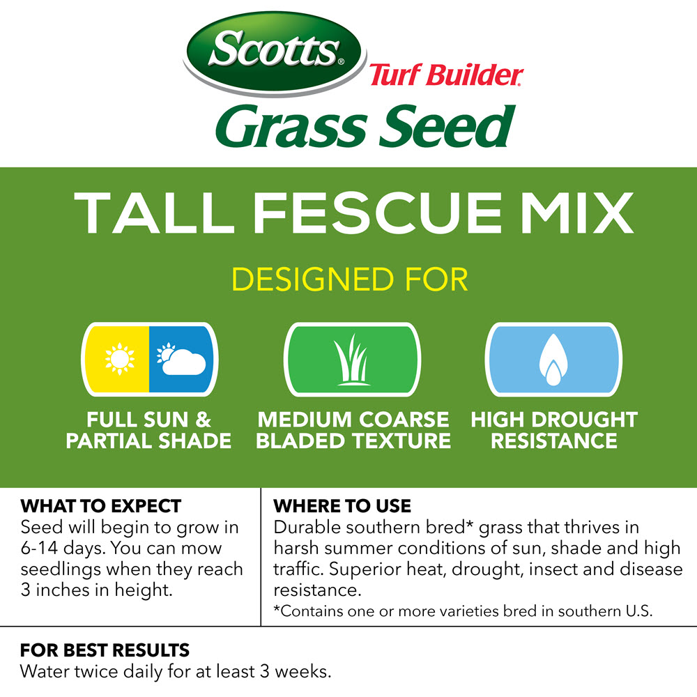 Best Pirce 🧨 Scotts Turf Builder Grass Seed Tall Fescue Mix, 20lb - 18242 🎁 - Image 6