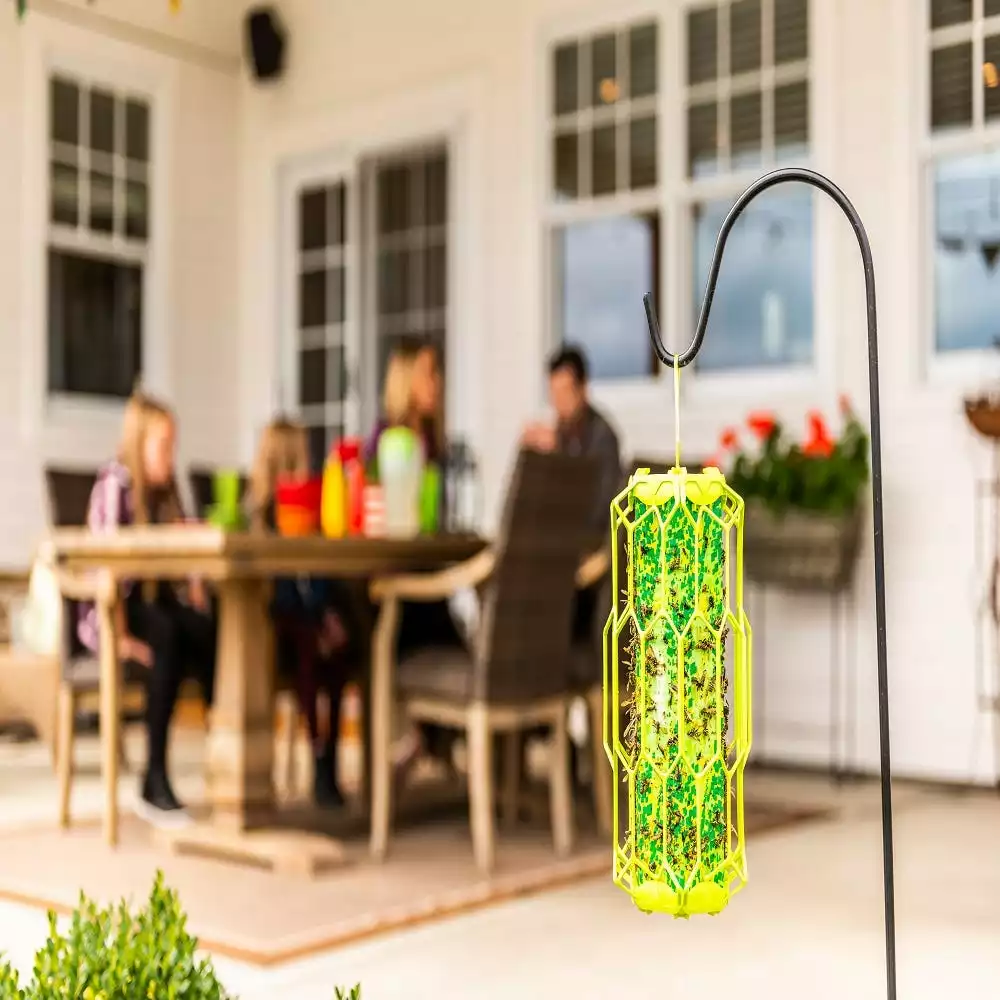 Cheapest π Various Brands Rescue Trapstik for Wasps - TSW-BB6 - Bug & Pest Control π₯° - Image 2