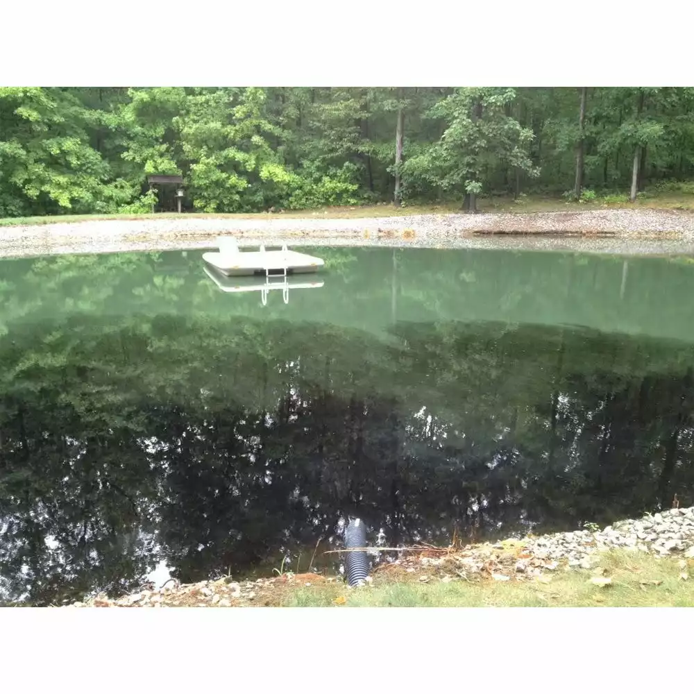 Best Sale π Pond Champs Black Lake & Pond Dye, 1 Gallon - 00411 - Lake Dyes π€© - Image 5