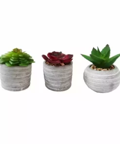 Deals ⌛ Alpine Succulent Decor with Cement Pot - Assorted WQA1216ABB - Decorative Planters ⭐