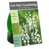 Best Pirce 🌟 Van Zyverden, Inc. Van Zyverden Inc. Lily of the Valley White 00712 - Garden Center 🤩
