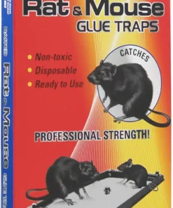 Buy 🛒 Pic Mouse & Rat Glue Trap 2 Pack - GT-2 - Baits & Traps 😉