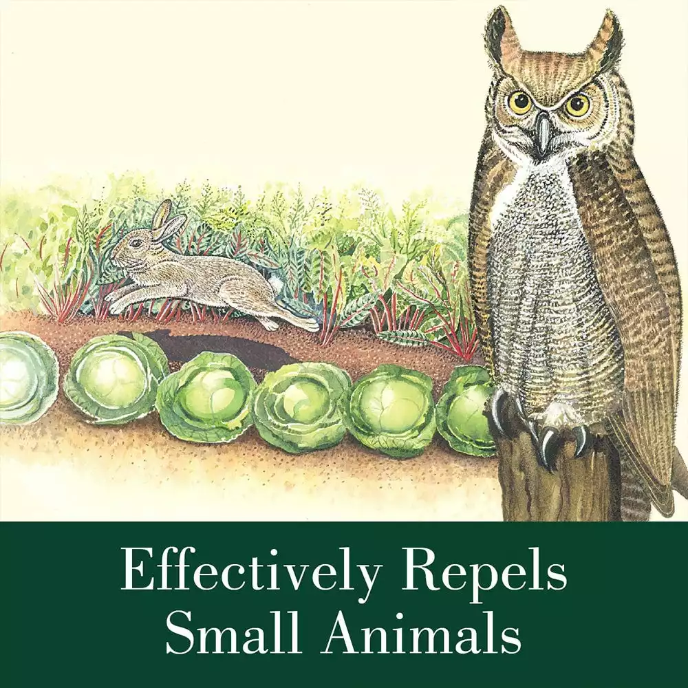 Hot Sale βοΈ Dalen Natural Enemy 2' Inflatable Owl Scarecrow - NE-OR - Animal Repellants π - Image 6