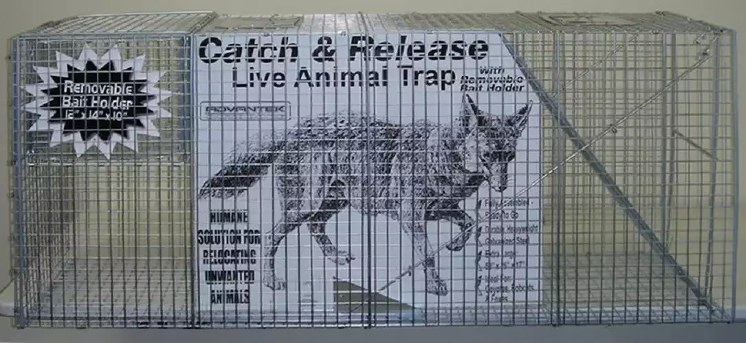 Wholesale π€© Various Brands Catch and Release Coyote Trap - 20060 - Baits & Traps βοΈ