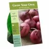 Best reviews of 💯 Van Zyverden, Inc. Van Zyverden Inc. Onion Sets - Red 09799 - Annuals ✔️