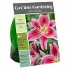 Best Sale 💯 Van Zyverden, Inc. Van Zyverden Inc. Lily Oriental Stargazer 09539 - Garden Center 😍