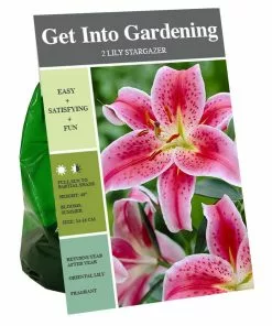 Best Sale 💯 Van Zyverden, Inc. Van Zyverden Inc. Lily Oriental Stargazer 09539 - Garden Center 😍
