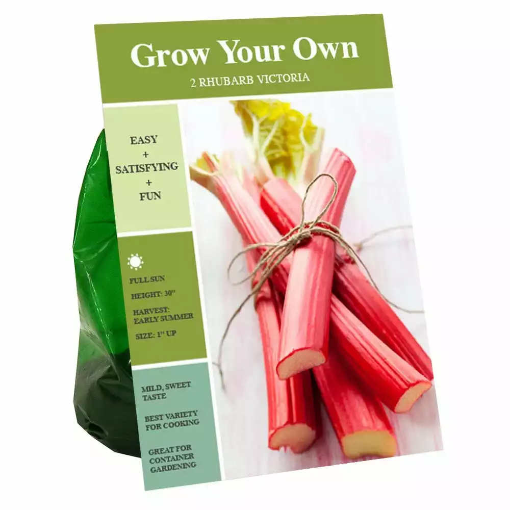 Top 10 π― Van Zyverden, Inc. Van Zyverden Inc. Rhubarb Victoria 00744 - Vegetables π