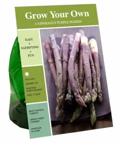 Promo 🛒 Van Zyverden, Inc. Van Zyverden Inc. Asparagus Purple Passion 09806 - Garden Center ✔️