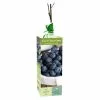 Best Sale 🤩 Van Zyverden, Inc. Van Zyverden Inc. Blueberry Blue Ray 00807 - Plants, Shrubs & Trees ⭐