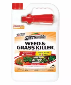 Best reviews of π Spectracide Weed & Grass Killer - Ready to Use, 1 Gallon - 96017 - Insecticides π