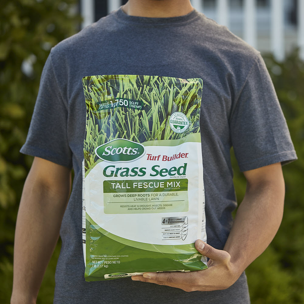 Best Pirce 🧨 Scotts Turf Builder Grass Seed Tall Fescue Mix, 20lb - 18242 🎁 - Image 4