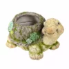 Buy ⭐ Alpine Tortoise Moss Planter - BEH166HH - Garden Accessories 🥰