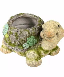 Buy ⭐ Alpine Tortoise Moss Planter - BEH166HH - Garden Accessories 🥰