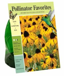 Buy 🤩 Van Zyverden, Inc. Van Zyverden Inc. Rudbeckia fulgida Goldsturm 01987 - Garden Center 🧨