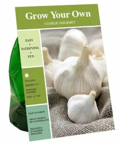 Best deal 🎁 Van Zyverden, Inc. Van Zyverden Inc. Garlic Regular 00945 - Vegetables ⌛