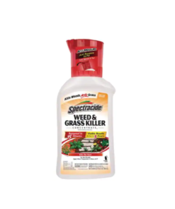Buy π― Spectracide Weed & Grass Killer Concentrate, 32oz - HG-96804 - Insecticides β