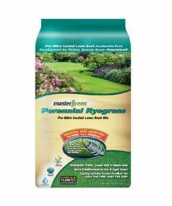 Top 10 🛒 Schultz Master Green Perennial Ryegrass Seed Mix, 50lb - SEEDRYEGRASS ⌛