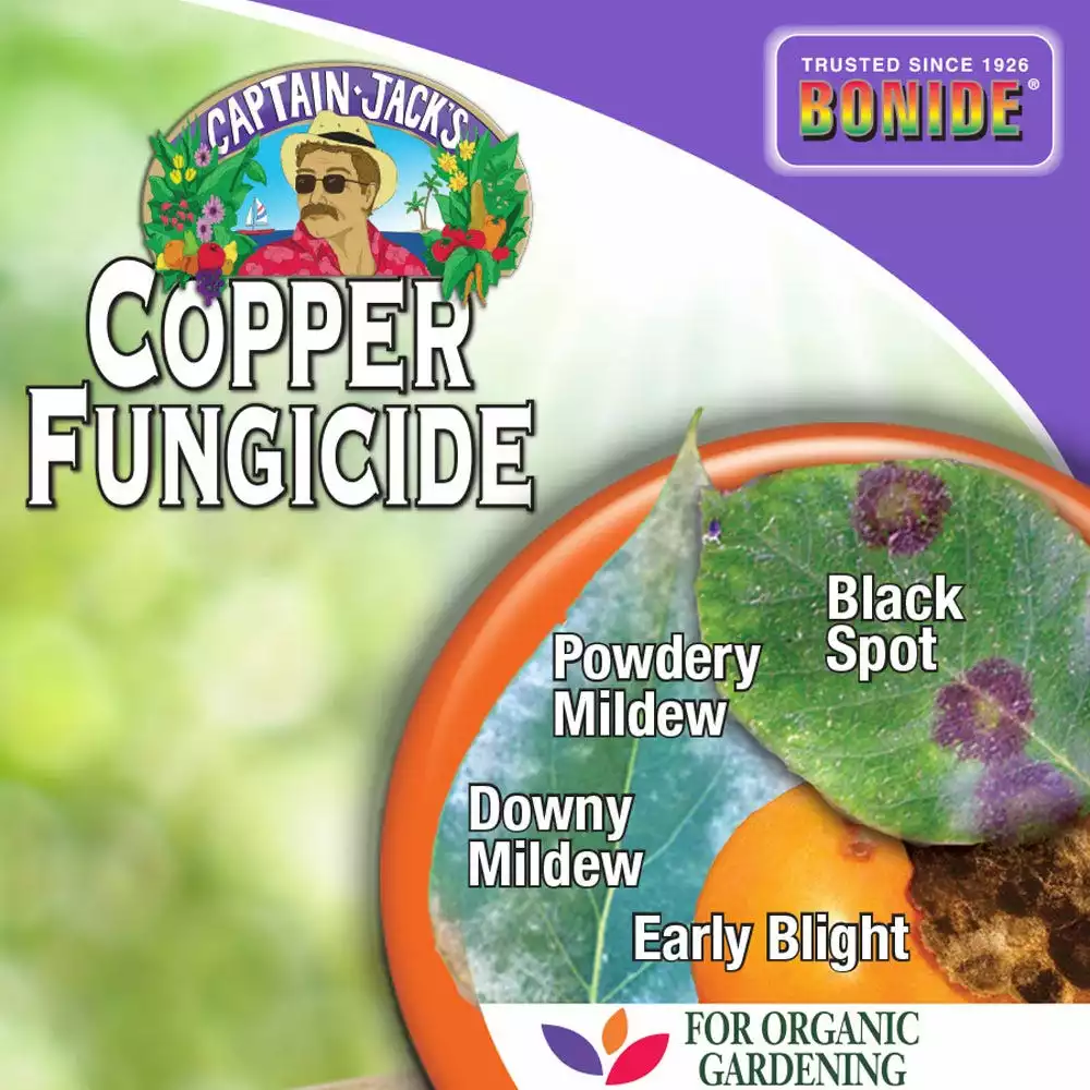 Best deal π€© Bonide Liquid Copper Fungicide, 16 Ounce - 811 - Herbicides π - Image 3