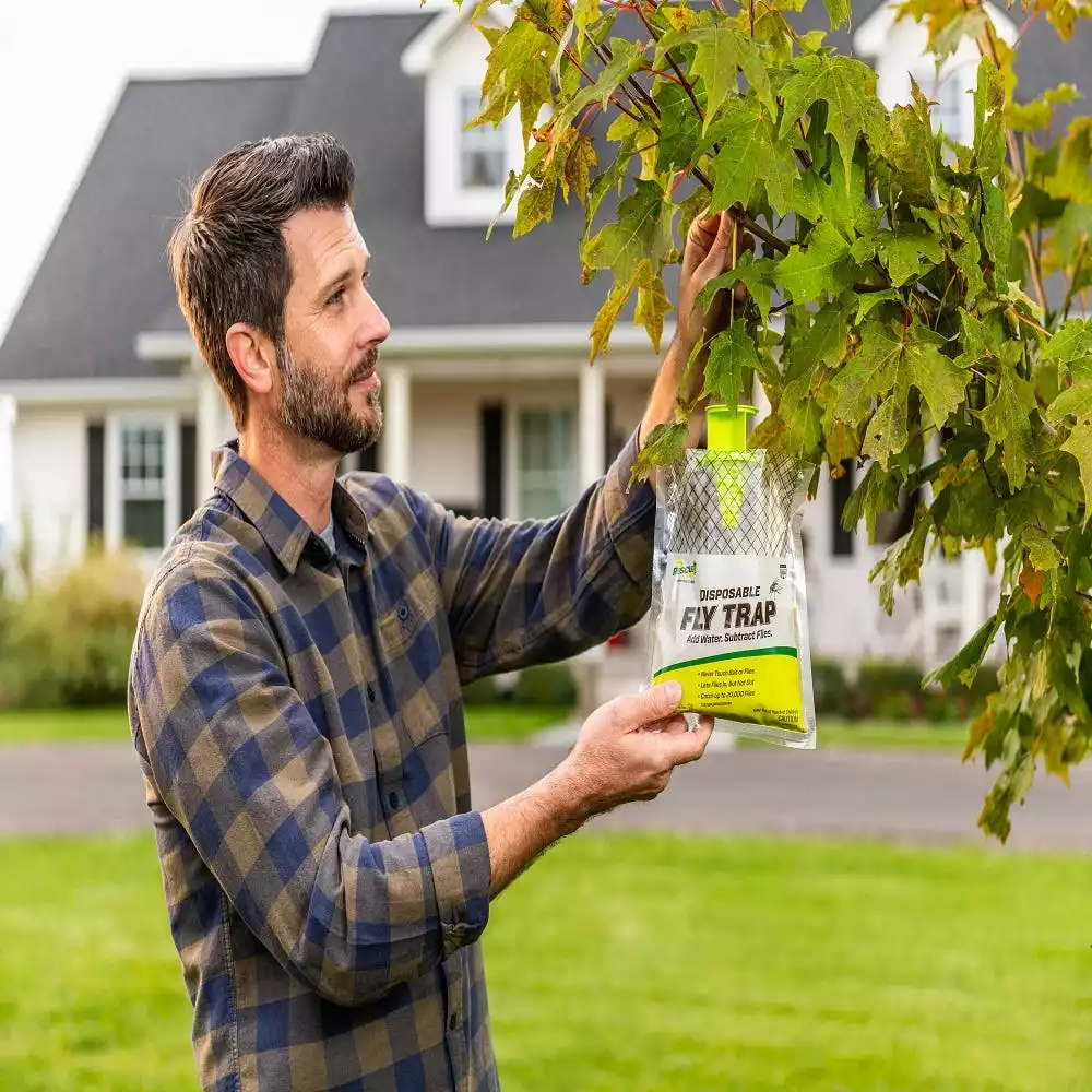 Cheapest π Various Brands Rescue Disposable Fly Trap - FTD-DB12 - Baits & Traps π€© - Image 2