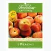 Budget ⭐ Freedom Farms JulyPrince Yellow Peach Fruit Tree 5G Pot - Trees 🛒