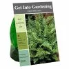 Buy 🔔 Van Zyverden, Inc. Van Zyverden Inc. Fern 🎄 Christmas 09584 - Garden Center ⌛