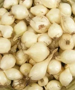 Hot Sale 🎁 Various Brands Yellow Onion Sets - Vegetables 🔥