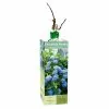 Wholesale 🎁 Van Zyverden, Inc. Van Zyverden Inc. Hydrangea Nikko Blue 01773 - Plants, Shrubs & Trees 🥰