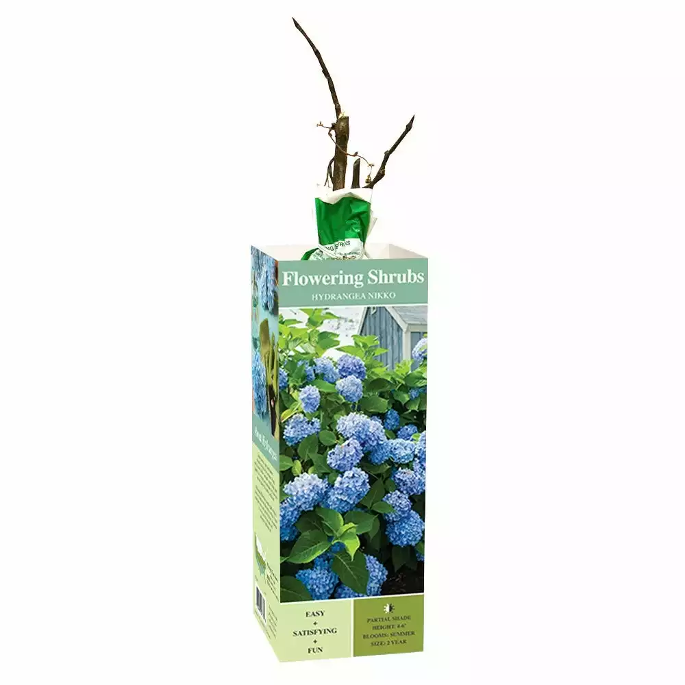 Wholesale π Van Zyverden, Inc. Van Zyverden Inc. Hydrangea Nikko Blue 01773 - Plants, Shrubs & Trees π₯°