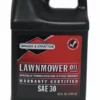 Best Sale 🔥 Briggs & Stratton SAE-30 4-Cycle Lawnmower Engine Oil, 48 oz. - 100028 - Lawn & Garden Tools 🛒