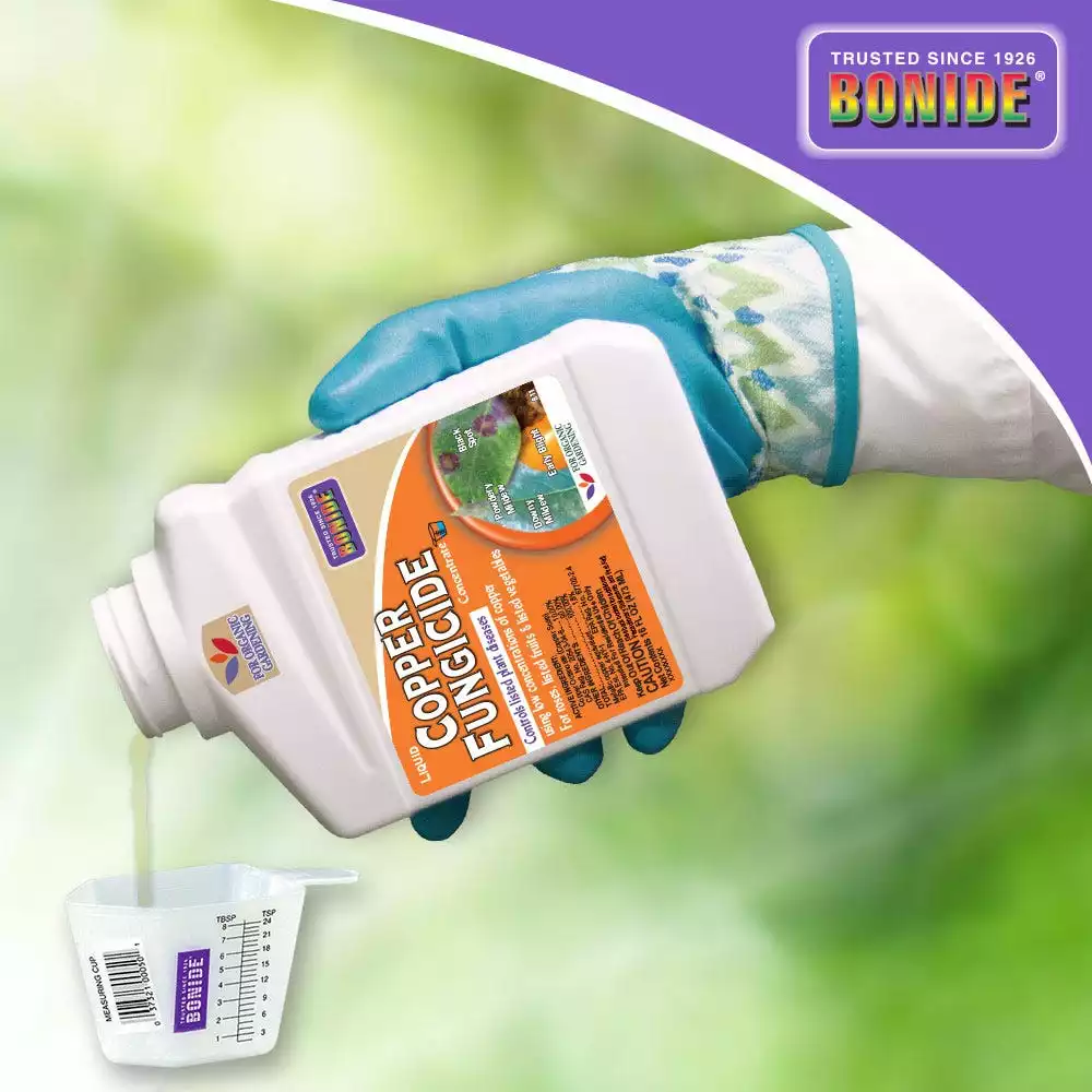 Best deal π€© Bonide Liquid Copper Fungicide, 16 Ounce - 811 - Herbicides π - Image 2