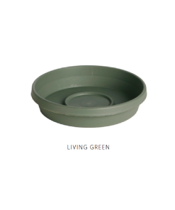 Best deal 😉 Bloem Terra 6" Living Green Saucer - 51406 - Decorative Planters 🎉