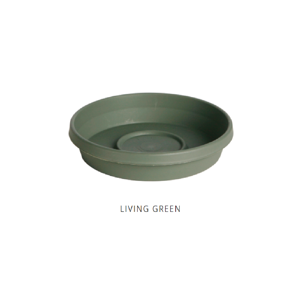 Budget π Bloem Terra 8" Living Green Saucer - 51408 - Decorative Planters π