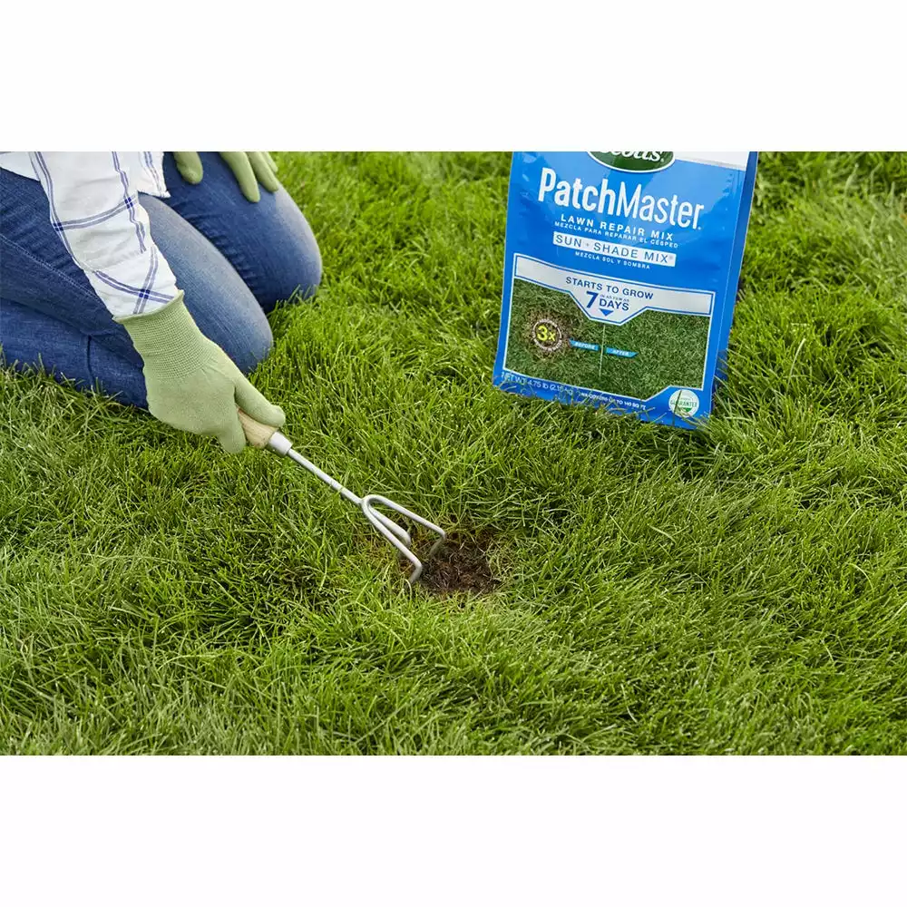 Best deal βοΈ Scotts PatchMaster Sun & Shade Lawn Repair Mix, 4.75 lbs. - 14905 - Grass Seed π - Image 6