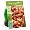 Outlet 😀 Van Zyverden, Inc. Van Zyverden Inc. Shallots 00938 - Garden Center 🎁