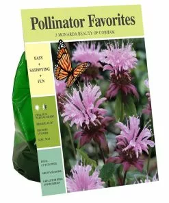 Deals 👏 Van Zyverden, Inc. Van Zyverden Inc. Monarda Beauty Of Cobham 01988 - Garden Center 🧨