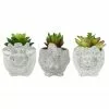 Promo 🛒 RK Brand Alpine Animal Cement Pot With Succulent Assorted - WQA1212ABB - Garden Accessories 🔥
