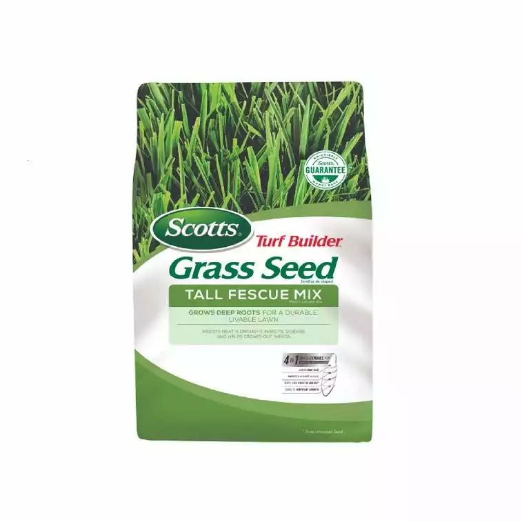 Best Pirce 🧨 Scotts Turf Builder Grass Seed Tall Fescue Mix, 20lb - 18242 🎁