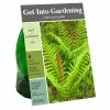 Buy 🛒 Van Zyverden, Inc. Van Zyverden Inc. Fern Cinnamon 09582 - Garden Center 🥰