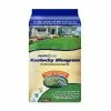 Discount 👍 Various Brands Kentucky Bluegrass Grass Seed, 50lb - SEEDKBLUE 50# 🌟