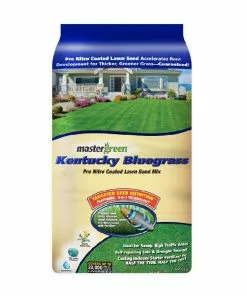 Discount 👍 Various Brands Kentucky Bluegrass Grass Seed, 50lb - SEEDKBLUE 50# 🌟