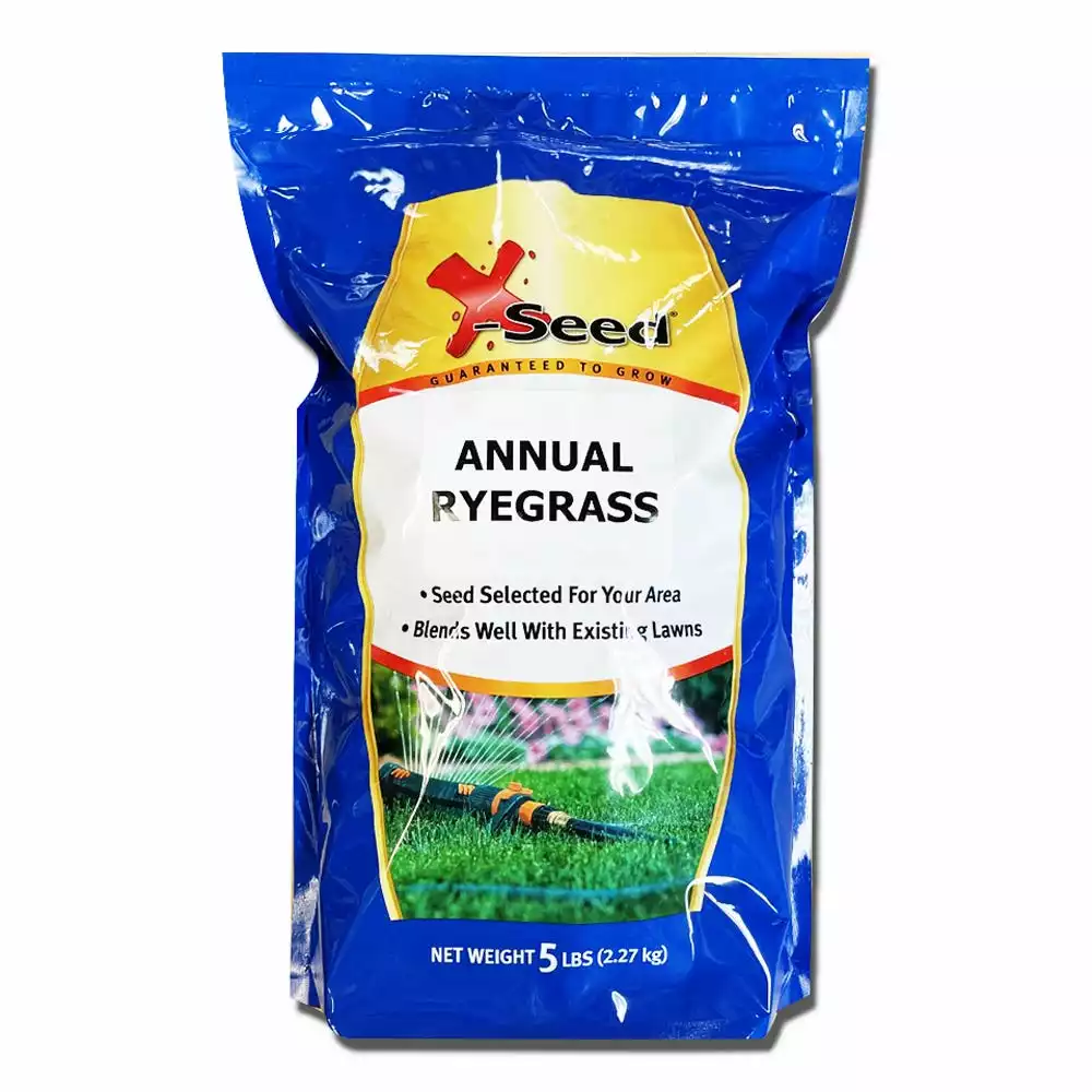 Flash Sale π₯ Various Brands Annual Ryegrass, 5lb - 204FD0025UC-5 - Grass Seed π€©
