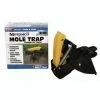 Brand new ⌛ Motomco Plastic Mole Trap - 34160 - Baits & Traps 👏