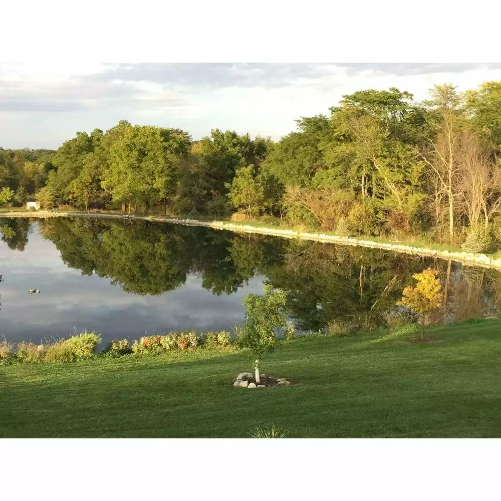 Best Sale π Pond Champs Black Lake & Pond Dye, 1 Gallon - 00411 - Lake Dyes π€© - Image 4