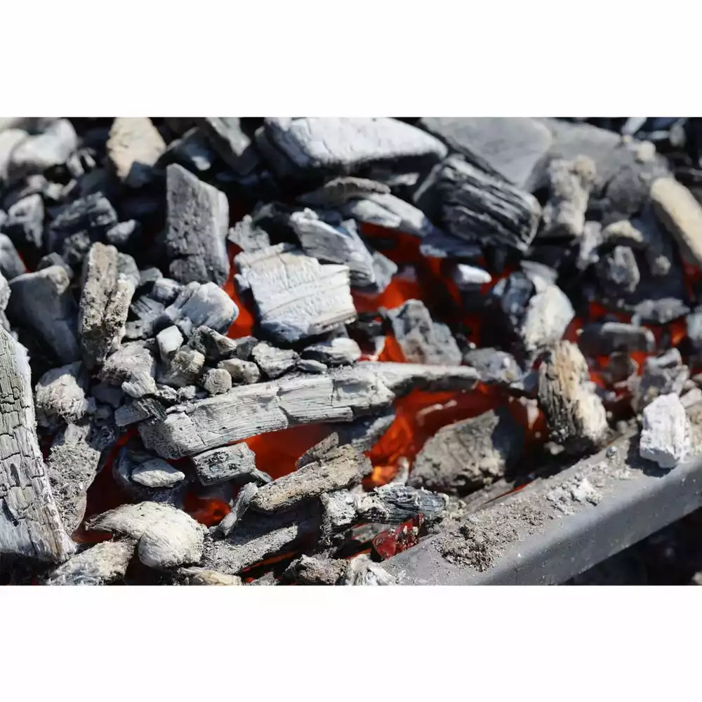 Best reviews of β€οΈ Frontier 100% Natural Hardwood Briquets, 12 Pounds - 800-000-503 - Flavorers & Seasonings π - Image 4